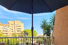 Studio in Hyères - Palermo - Studio bord de mer – Hyères port