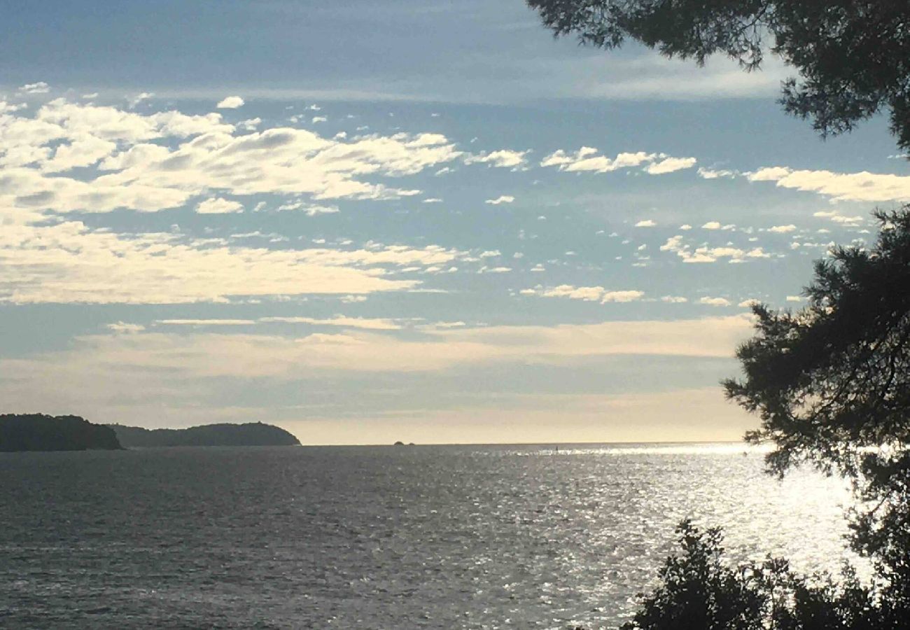 Villa à Toulon - Soleil et mer - grande villa vue panoramique