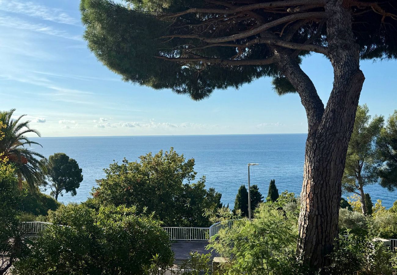 Villa à Toulon - Soleil et mer - grande villa vue panoramique